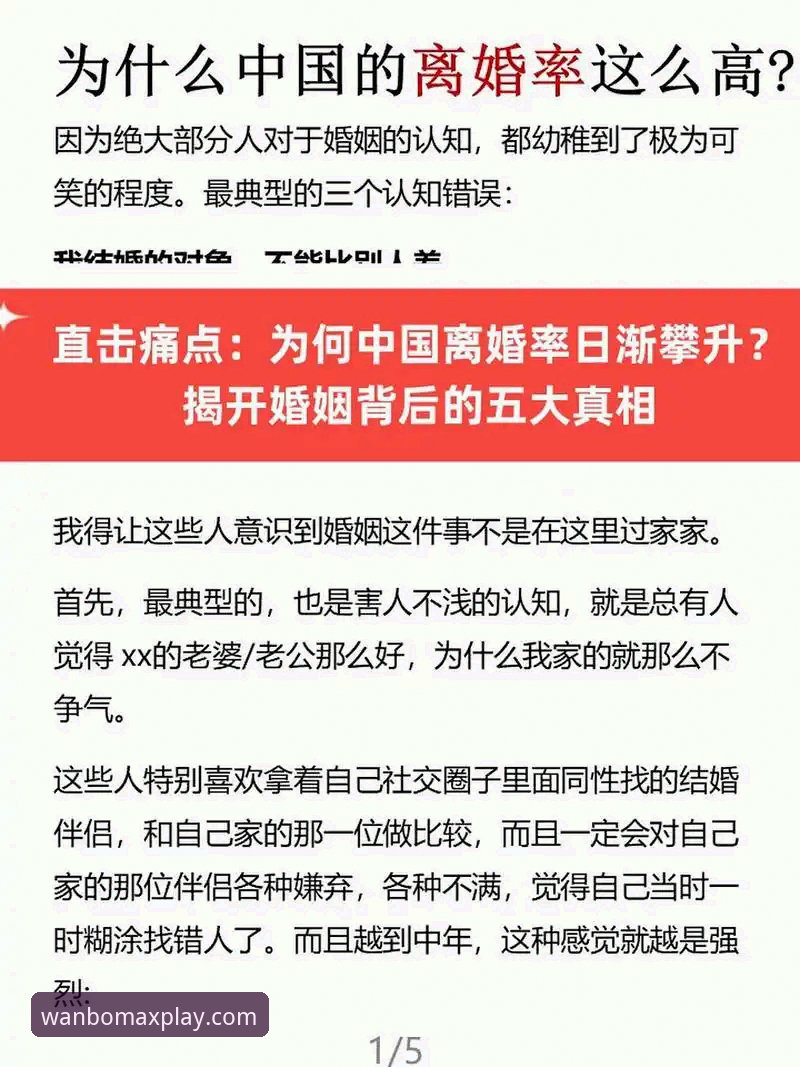 深度揭秘万博平台入口最新版：老用户亲测的五大真相与实战指南